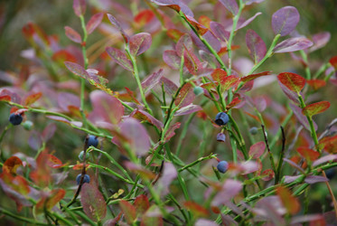 Similar image 21554381