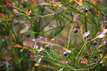 Similar image 21554382