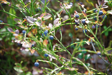 Similar image 21554383