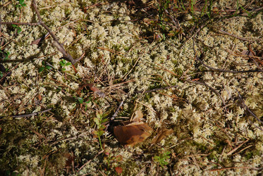 Similar image 21554385