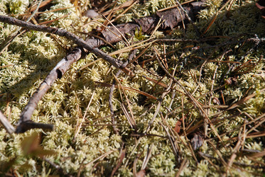 Similar image 21554387