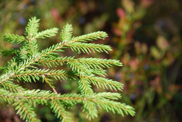 Similar image 21554388