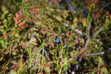 Similar image 21554389