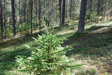 Similar image 21554390