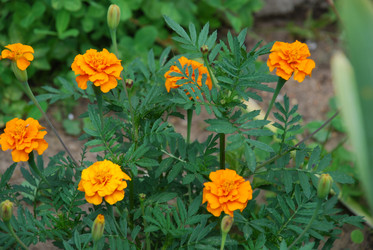 Similar image 21554392