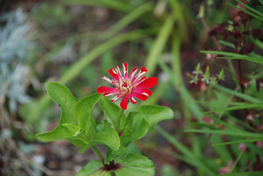 Similar image 21554397