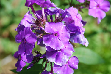 Similar image 21554399