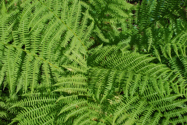 Similar image 21554400