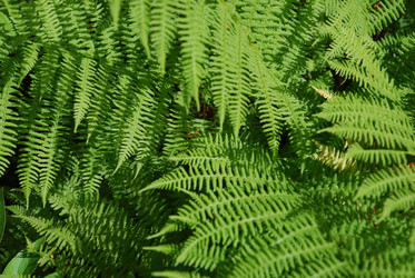 Similar image 21554402