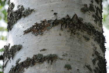 Similar image 21554403