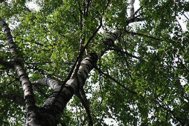 Similar image 21554404