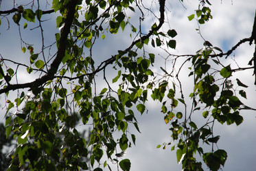 Similar image 21554405