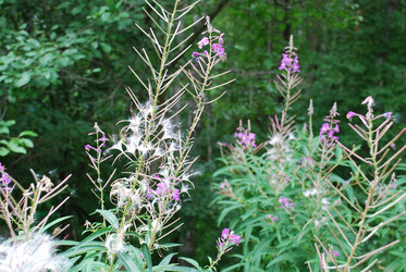 Similar image 21554407