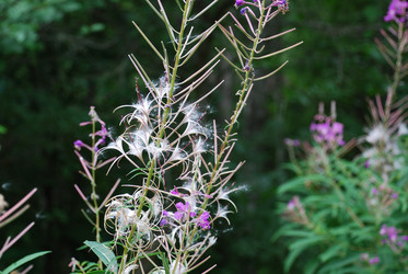 Similar image 21554408