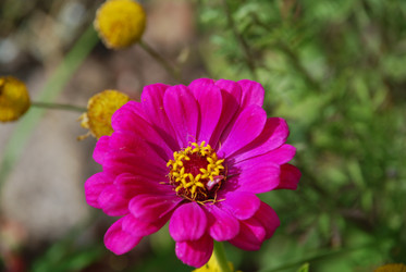 Similar image 21554410