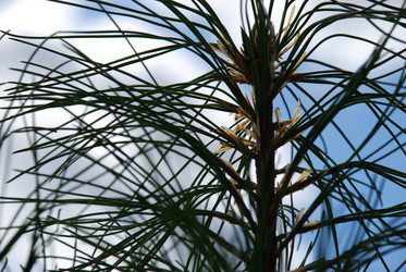 Similar image 21554411