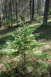 Similar image 21554414