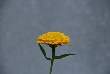 Similar image 21554416