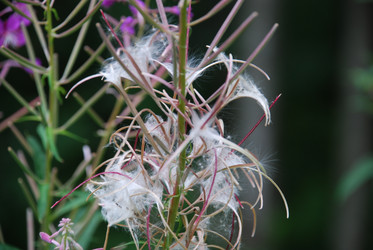 Similar image 21554419