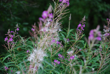 Similar image 21554420