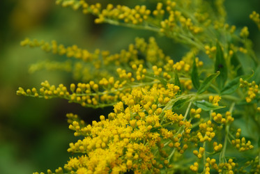 Similar image 21554421