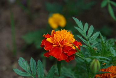 Similar image 21554422