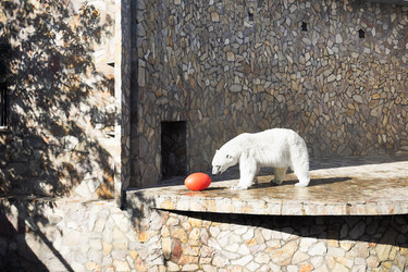 Similar image 21554427