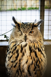 Similar image 21554428