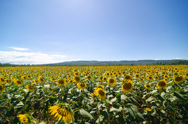 Similar image 21555172