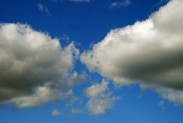 Similar image 21554600