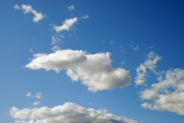 Similar image 21554602