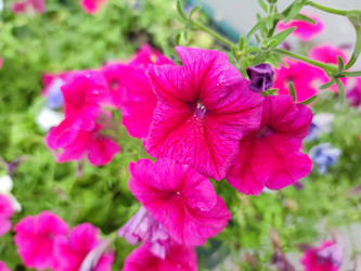 Similar image 21555476