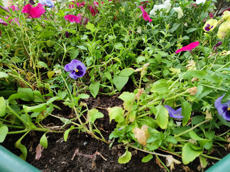 Similar image 21555478