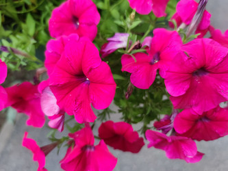 Similar image 21555480