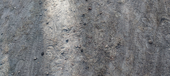 Similar image 21555497