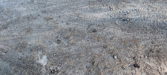 Similar image 21555498