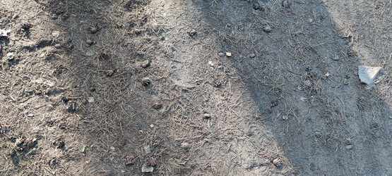 Similar image 21555499