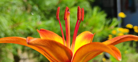 Similar image 21555501