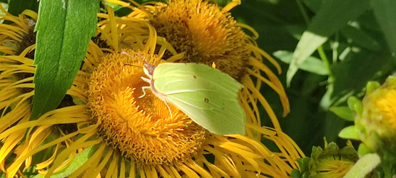 Similar image 21555508