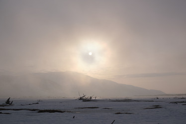 Similar image 21557212