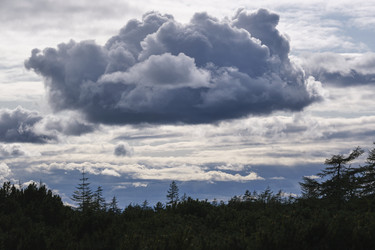 Similar image 21557217