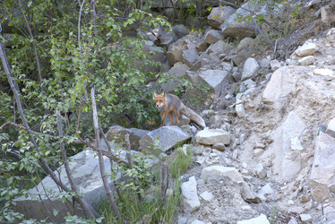 Similar image 21557224