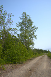 Similar image 21557226