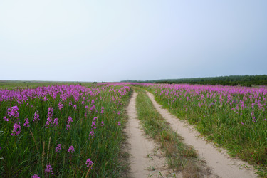 Similar image 21557227