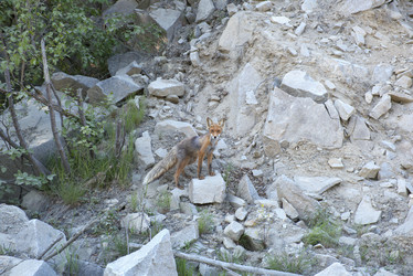 Similar image 21557228