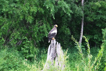 Similar image 21557230