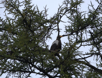 Similar image 21557232