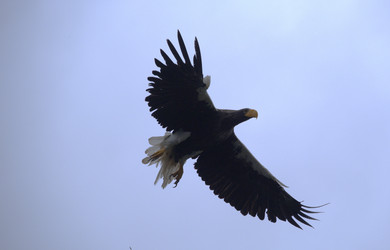 Similar image 21557234