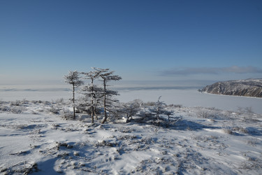 Similar image 21557242