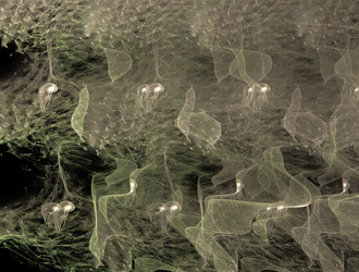 Similar image 21620451